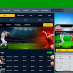 Professional cricket betting platform Cricbet99 com showcasing live sports odds and